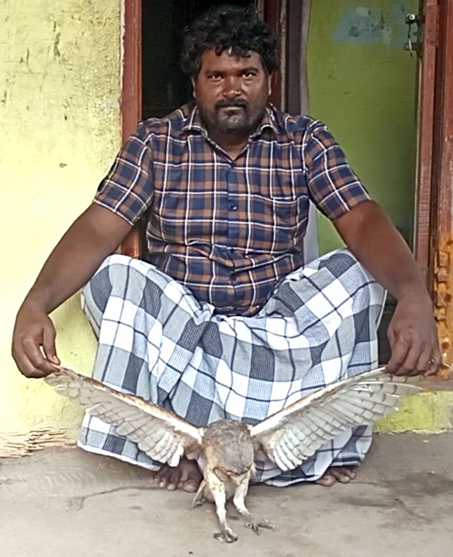 விவசாயிக்கு கிடைத்த அரிய வகை ஆந்தை