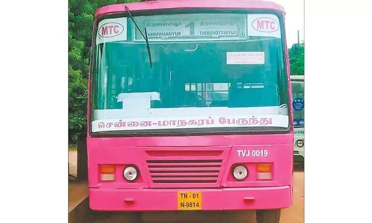 சாதாரண பேருந்துகளை இனி பிங்க் நிறத்தில் காணலாம்