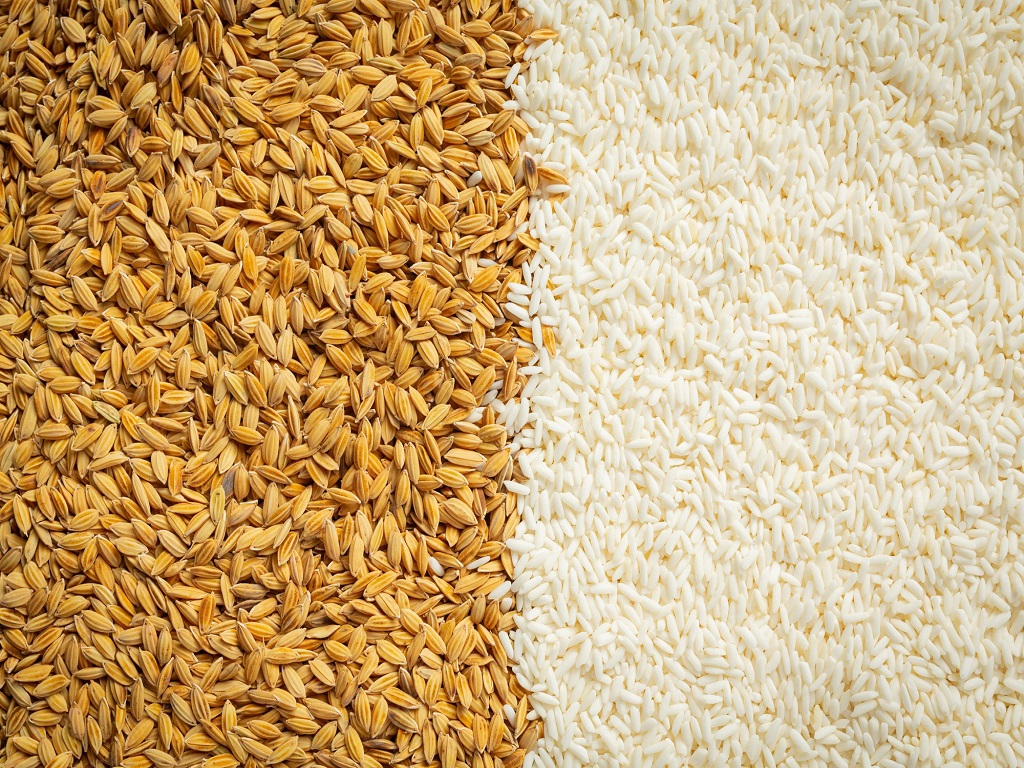 விண்ணைத்தொடும் விலைவாசி; கோதுமை ரூ.36.2, அரிசி ரூ.38.2