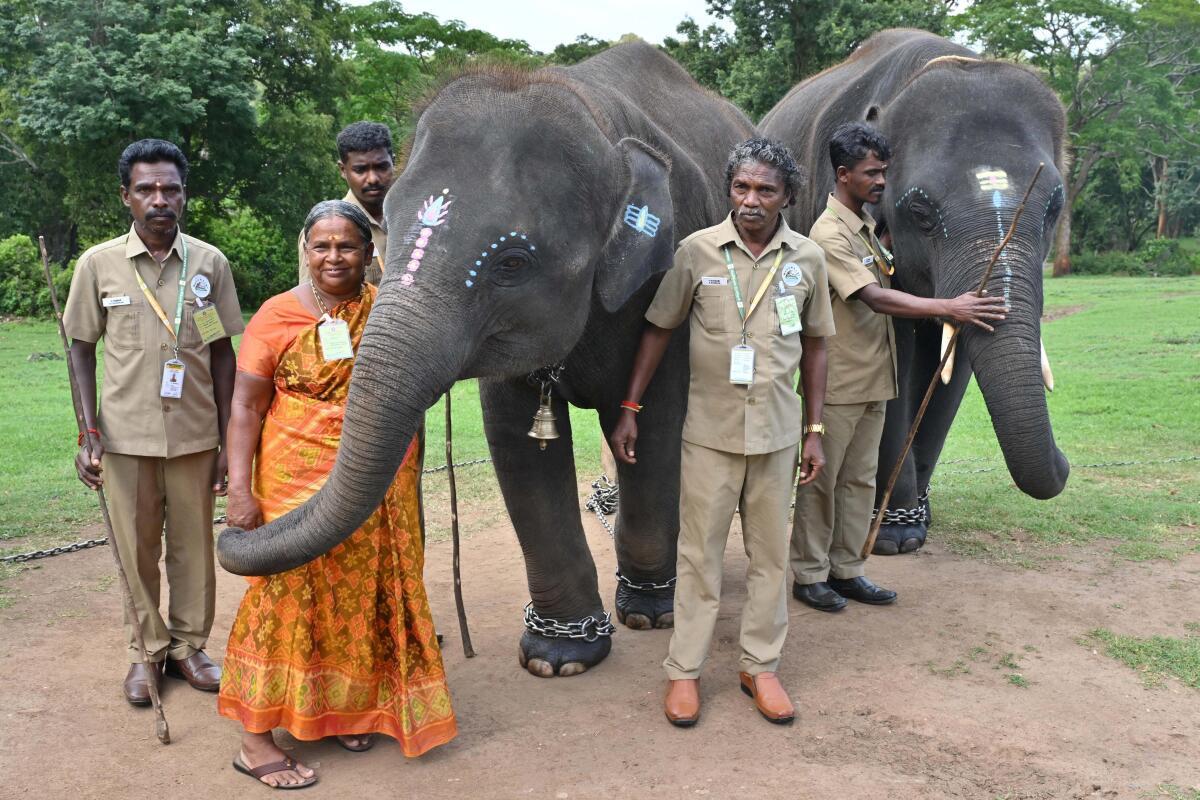 ‘தி எலிபென்ட் விஸ்பரர்ஸ்’ ஆவணப் படத்தின்  தயாரிப்பாளர், இயக்குநருக்கு பாகன் தம்பதி நோட்டீஸ்